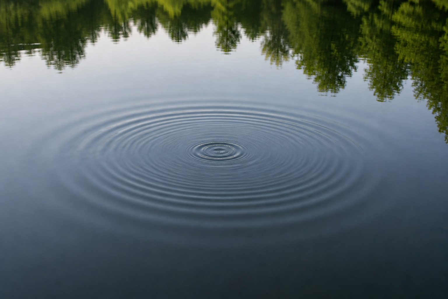 A wave on a pond